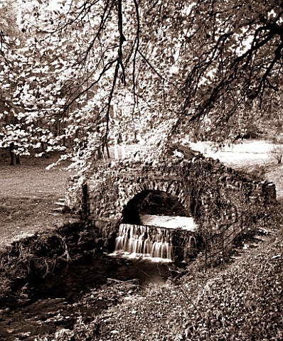 CASTLE_HILL__DEVON_BLACK_AND_WHITE_TONED_IMAGE_OF_BEECH_TREE_OVERHANGING_STREAM_AND_THE_UGLY_BRIDGE