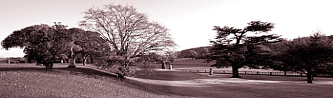 CASTLE_HILL__DEVON_BLACK_AND_WHITE_TONED_IMAGE_OF_A_THE_TERRACES_IN_AUTUMN_PANORAMIC_VIEW