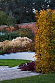 MARKS HALL  ESSEX : AUTUMN COLOUR IN THE WALLED GARDEN - BEECH HEDGING  SEDUMS AND GRASSES IN THE MEANDERING WALL GARDEN