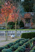 MARKS HALL  ESSEX: AUTUMN COLOUR IN THE WALLED GARDEN - THE GARDEN OF SPHERES WITH WOODEN GATE IN WALL  STONE BALL AND AMELANCHIER X GRANDIFLORA ROBIN HILL