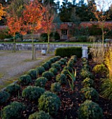 MARKS HALL  ESSEX: AUTUMN COLOUR IN THE WALLED GARDEN - THE GARDEN OF SPHERES WITH WOODEN GATE IN WALL  STONE BALL AND AMELANCHIER X GRANDIFLORA ROBIN HILL