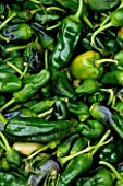 THE VEGETABLE MARKET  SANTANYI  MALLORCA  SPAIN. GREEN PEPPERS