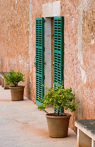 SON_BERNADINET_HOTEL__NEAR_CAMPOS__MALLORCA_SUITEDO_ORANGES_IN_TERRACOTTA_CONTAINERS_OUTSIDE_THE_FRO