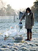 BOONSHILL FARM AT CHRISTMAS. OWNER LISETTE PLEASANCE GIVES WATER TO THE GEESE IN THE FIELD AT THE BACK OF THE HOUSE  IN FROST
