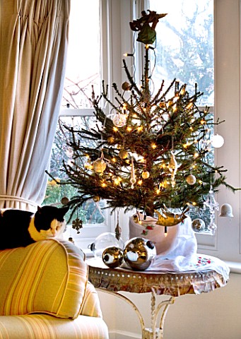BOONSHILL_FARM_AT_CHRISTMAS_LIVING_ROOM_WITH_CHRISTMAS_TREE_BESIDE_THE_FRONT_WINDOW_AND_CAT_SLEEPING