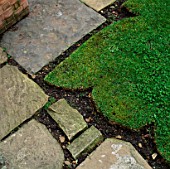 DETAIL OF YORK STONE PATH AND DECORATIVE SHAPE OF EDGE OF LAWN. DESIGNER: ANTHONY NOEL