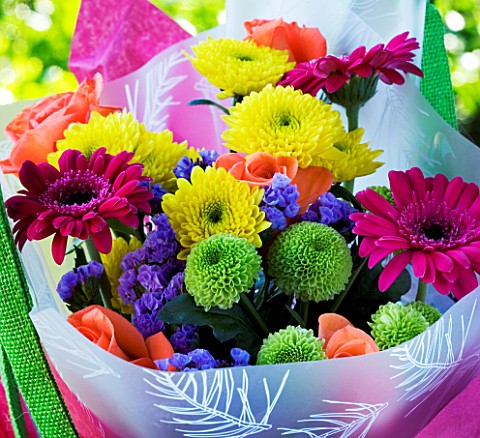 PINK_BAG_WITH_CUT_FLOWERS__GREEN_AND_YELLOW_SHAMROCK_CHRYSANTHEMUMS_AND_PINK_GERBERAS
