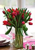 DESIGNER: CHARLOTTE ROWE  LONDON: RED TULIPS IN A VASE ON THE DINING ROOM TABLE