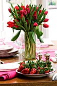 DESIGNER: CHARLOTTE ROWE  LONDON: RED TULIPS IN A VASE ON THE DINING ROOM TABLE AND FRESH STRAWBERRIES ON A PLATE