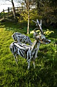 THE OLD RECTORY  HASELBECH  NORTHAMPTONSHIRE - TWO ROE DEER MADE OUT OF DRIFT WOOD BY HEATHER JANSCH WITH DAFFODILS IN SPRING
