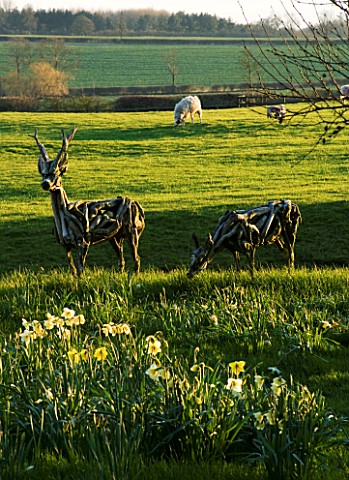 THE_OLD_RECTORY__HASELBECH__NORTHAMPTONSHIRE__TWO_ROE_DEER_MADE_OUT_OF_DRIFT_WOOD_BY_HEATHER_JANSCH_