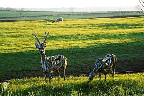 THE_OLD_RECTORY__HASELBECH__NORTHAMPTONSHIRE__TWO_ROE_DEER_MADE_OUT_OF_DRIFT_WOOD_BY_HEATHER_JANSCH_