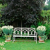 WHITE SEAT FLANKED BY CONTAINERS OF WHITE MARGUERITES  IN THE WHITE GARDEN AT CHENIES MANOR  BUCKINGHAMSHIRE