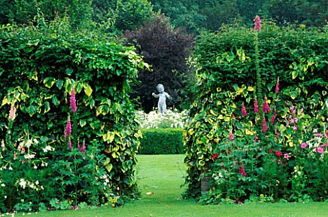 RED_COSMOS_SENSATION__NICOTIANA__PINKS___FOXGLOVES_FRAME_VIEW_TO_THE_WHITE_GARDEN_CHENIES_MANOR__BUC