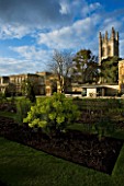 UNIVERSITY OF OXFORD BOTANIC GARDEN: THE NATIONAL COLLECTION OF EUPHOBIAS WITH THE MAIN ENTRANCE BEHIND - EVENING LIGHT