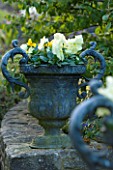 THE OLD RECTORY  HASELBECH  NORTHAMPTONSHIRE: URN PLANTED WITH PANSIES