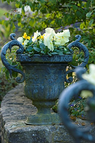 THE_OLD_RECTORY__HASELBECH__NORTHAMPTONSHIRE_URN_PLANTED_WITH_PANSIES