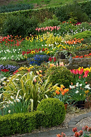 LITTLE_LARFORD__WORCESTERSHIRE_SPRING__VIEW_ACROSS_THE_GARDEN_WITH_A_STONE_WALL_AND_TULIPS_SLOPE