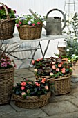 DESIGNERS SUE AYLETT AND GAY SEARCH: DISPLAY OF WICKER BASKET COTTAGE STYLE CONTAINERS ON METAL TABLE IN COURTYARD. IMPATIENS NEW GUINEA  PHORMIUM  OSTEOSPERMUMS  PELARGONIUM