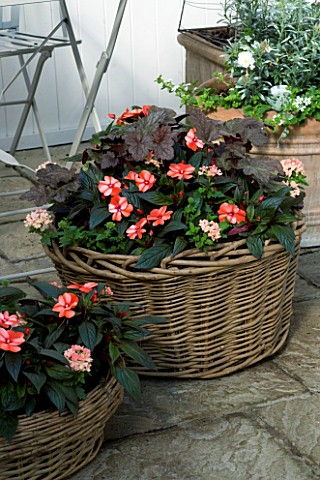 DESIGNERS_SUE_AYLETT_AND_GAY_SEARCH_WICKER_BASKET_COTTAGE_STYLE_CONTAINERS_IN_COURTYARD_PLANTED_WITH