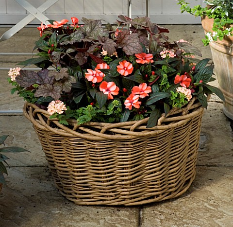 DESIGNERS_SUE_AYLETT_AND_GAY_SEARCH_WICKER_BASKET_COTTAGE_STYLE_CONTAINER_IN_COURTYARD_PLANTED_WITH_