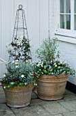 DESIGNERS SUE AYLETT AND GAY SEARCH: SILVER THEMED TERRACOTTA CONTAINERS AND OBELISK IN COURTYARD PLANTED WITH WHITE CLEMATIS  MARGUERITES  PITTOSPORUM