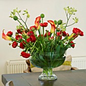 DESIGNERS SUE AYLETT: SUE AYLETTS HOUSE  LONDON: THE DINING ROOM - BEAUTIFUL TABLE FLOWER DISPLAY OF RANUNCULUS  CALLA LILIES  TULIPS AND KANGAROO PAW