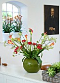 DESIGNERS SUE AYLETT: SUE AYLETTS HOUSE  LONDON: THE DINING ROOM - BEAUTIFUL  FLOWER DISPLAY OF RANUNCULUS  CALLA LILIES  TULIPS AND KANGAROO PAW IN GREEN CONTAINER