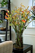 DESIGNERS SUE AYLETT: SUE AYLETTS HOUSE  LONDON: THE LIVING ROOM WITH BEAUTIFUL DISPLAY OF FLOWERS - CALLA LILIES  POPPIES  AND KANGAROO PAW IN GLASS CONTAINER