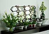 DESIGNERS SUE AYLETT: SUE AYLETTS HOUSE  LONDON: THE LIVING ROOM WITH BEAUTIFUL WHITE TULIPS AND GINGERS IN GLASS CONTAINER/ VASE ON MANTELPIECE WITH MIRROR AND OTHER PLANTS