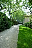 PROVENCE  FRANCE - ALTAVES GARDEN. PATH AND AVENUE OF PLANE TREES LEADING TO HOUSE