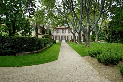 PROVENCE__FRANCE__ALTAVES_PATH_LEADING_TO_HOUSE_WITH_HUGE_PLANE_TREES_AND_SARCOCOCCA_CONFUSA_TO_THE_