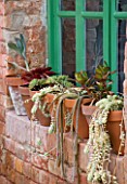 PROVENCE  FRANCE - ALTAVES. WINDOWSILL OF SUMMERHOUSE WITH SUCCULENTS IN TERRACOTTA POTS