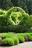 PRIVATE GARDEN  PROVENCE  FRANCE - DESIGNER DOMINIQUE LAFOURCADE. ARCH WITH SOLANUM JASMINOIDES WITH PROSTRATE ROSEMARY AND ERIGERON KARVINSKIANUS BELOW