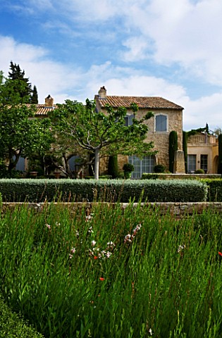 PRIVATE_GARDEN__PROVENCE__FRANCE__DESIGNER_DOMINIQUE_LAFOURCADE_MASS_PLANTING_OF_GAURA_IN_FRONT_OF_H
