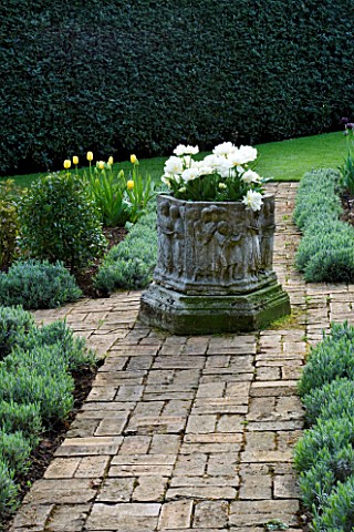 COTON_MANOR_GARDEN__NORTHAMPTONSHIRE_BRICK_PATH_IN_THE_OLD_ROSE_GARDEN_WITH_WHITE_TULIPS_IN_A_LEAD_C