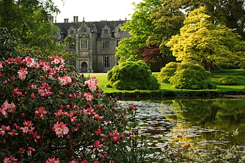 WAKEHURST_PLACE__WEST_SUSSEX_THE_PINK_FLOWERS_OF_RHODODENDRON_LEMS_CAMEO_BESIDE_THE_LAKE_WITH_THE_HO