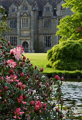WAKEHURST_PLACE__WEST_SUSSEX_THE_PINK_FLOWERS_OF_RHODODENDRON_LEMS_CAMEO_BESIDE_THE_LAKE_WITH_THE_HO