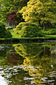 WAKEHURST PLACE  WEST SUSSEX. THE PINK FLOWERS OF RHODODENDRON LEMS CAMEO BESIDE THE LAKE REFLECTED IN THE LAKE WITH THE HOUSE IN BACKGROUND