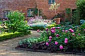 THE WALLED GARDEN AT COWDRAY  WEST SUSSEX. DESIGNER: JAN HOWARD - EDGED BORDER WITH PINK PEONIES AND HEUCHERA