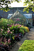 THE WALLED GARDEN AT COWDRAY  WEST SUSSEX. DESIGNER: JAN HOWARD - EARLY SUMMER BORDER OF PEONIES (PAEONIA) AND HEUCHERA WITH CONSERVATORY/GREENHOUSE