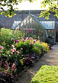 THE WALLED GARDEN AT COWDRAY  WEST SUSSEX. DESIGNER: JAN HOWARD - EARLY SUMMER BORDER OF PEONIES (PAEONIA) AND HEUCHERA WITH CONSERVATORY/GREENHOUSE