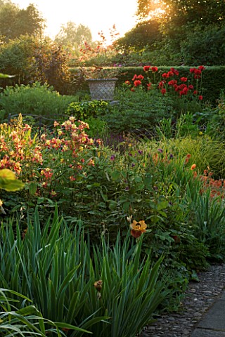 WOLLERTON_OLD_HALL__SHROPSHIRE_SUMMER_BORDER_VIEW_ACROSS_LANHYDROCK_GARDEN_SHOWING_AQUILEGIA__CANNA_