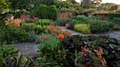 WOLLERTON OLD HALL  SHROPSHIRE. VIEW ACROSS LANHYDROCK GARDEN SHOWING AQUILEGIA  CANNA HYBRID  ERYSIMUM APRICOT DELIGHT PAPAVER BEAUTY OF LIVERMERE & ISOPLEXUS CANARIENSIS