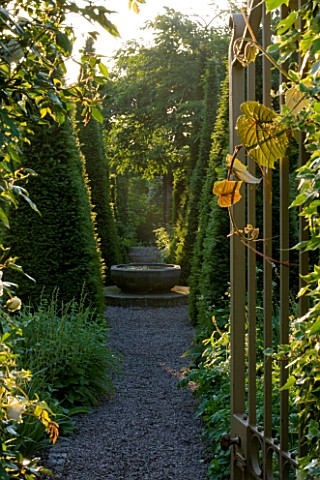WOLLERTON_OLD_HALL__SHROPSHIRE_METAL_GATE_WITH_VIEW_THROUGH_CLIPPED_YEWS_TOWARD_THE_WELL_GARDEN_TOPI