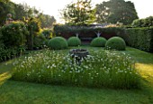WOLLERTON OLD HALL  SHROPSHIRE: THE FONT GARDEN WITH MEADOW PLANTING OF DAISIES (LEUCANTHEMUM VULGARE) AND CLIPPED TOPIARY DOMES WITH LOGGIA IN BACKGROUND