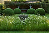WOLLERTON OLD HALL  SHROPSHIRE: FONT GARDEN WITH MEADOW PLANTING OF DAISIES (LEUCANTHEMUM VULGARE) AND CLIPPED TOPIARY DOMES WITH LOGGIA IN BACKGROUND