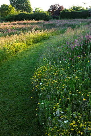 THE_GRAY_HOUSE__OXFORDSHIRE__DESIGNED_BY_TIM_REES_A_PATH_THROUGH_THE_MEADOW_IN_SUMMER