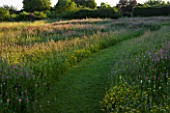 THE GRAY HOUSE  OXFORDSHIRE  DESIGNED BY TIM REES. A PATH THROUGH THE MEADOW IN SUMMER