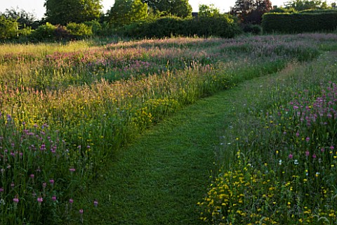 THE_GRAY_HOUSE__OXFORDSHIRE__DESIGNED_BY_TIM_REES_A_PATH_THROUGH_THE_MEADOW_IN_SUMMER